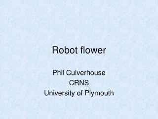 Robot flower
