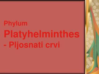 Phylum Platyhelminthes - Pljosnati crvi