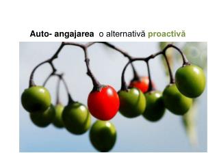 Auto- angajarea o alternativă proactivă