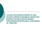 ULUSAL BIYO ESITLILIGININ VE GEN KAYNAKLARININ KORUNMASI HEDEFLERI DOGRULTUSUNDA B Y K MEMELI T RLERININ ARASTIRILMASI,