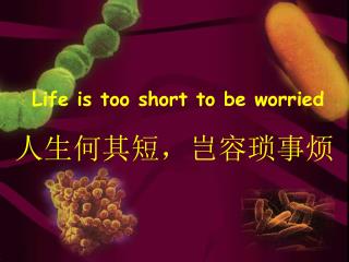 Life is too short to be worried