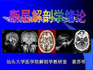 汕头大学医学院解剖学教研室 姜苏明