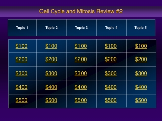 Cell Cycle and Mitosis Review #2