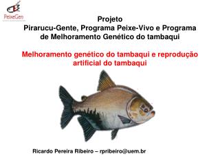 Ricardo Pereira Ribeiro – rpribeiro@uem.br