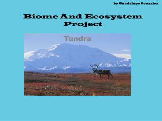 by Guadalupe Gonzalez Biome And Ecosystem Project