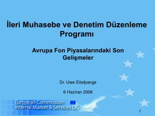 İleri Muhasebe ve Denetim Düzenleme Programı