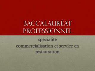 Baccalauréat Professionnel