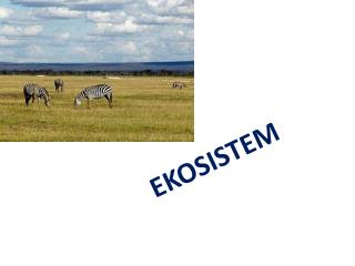 EKOSISTEM