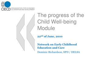 The progress of the Child Well-being Module
