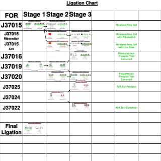 Ligation Chart