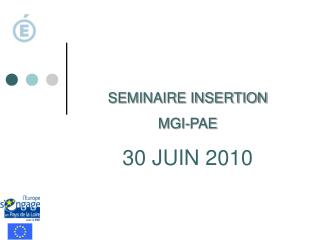 SEMINAIRE INSERTION MGI-PAE 30 JUIN 2010