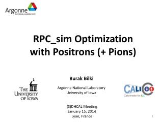 RPC_sim Optimization w ith Positrons (+ Pions)