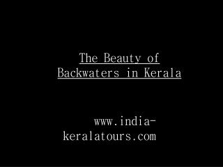 Beauty of Kerala Backwaters