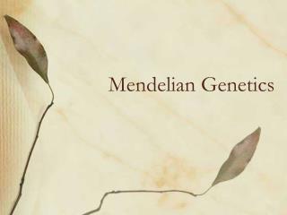 Mendelian Genetics