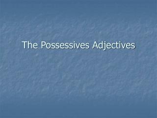 The Possessives Adjectives