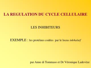 LA REGULATION DU CYCLE CELLULAIRE LES INHIBITEURS