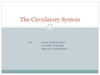 The Circulatory System