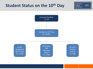 Student Status on the 10 th Day