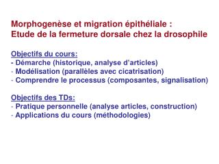 Morphogenèse et migration épithéliale : Etude de la fermeture dorsale chez la drosophile