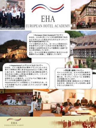 ～ Heppenheim( ヘッペンハイム ) について～