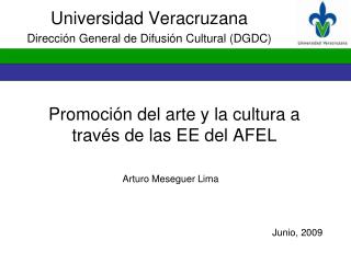 Promoción del arte y la cultura a través de las EE del AFEL