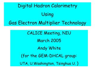 Digital Hadron Calorimetry Using Gas Electron Multiplier Technology