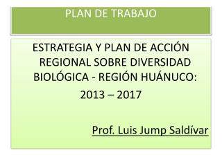 PLAN DE TRABAJO