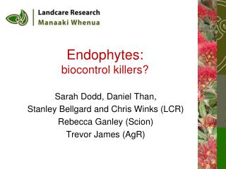 Endophytes: biocontrol killers?