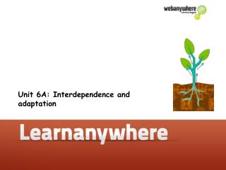 Unit 6A: Interdependence and adaptation