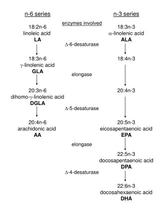 n-3 series 18:3n-3 - linolenic acid ALA 18:4n-3 20:4n-3 20:5n-3 eicosapentaenoic acid EPA