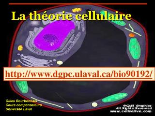 La théorie cellulaire