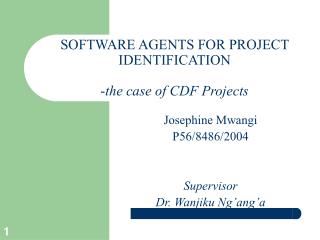 SOFTWARE AGENTS FOR PROJECT IDENTIFICATION - the case of CDF Projects