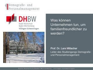 Prof. Dr. Lars Mitlacher