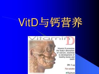 VitD 与钙营养