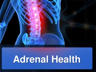 Adrenal Health