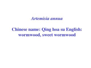 Artemisia annua Chinese name: Qing hoa su English: wormwood, sweet wormwood