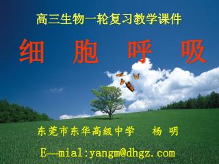 细 胞 呼 吸