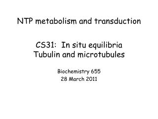 CS31: In situ equilibria Tubulin and microtubules