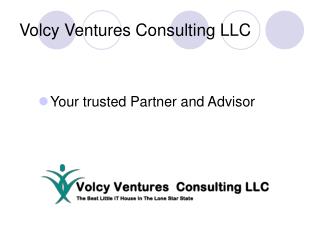 Volcy Ventures Consulting LLC