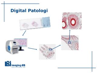 Digital Patologi