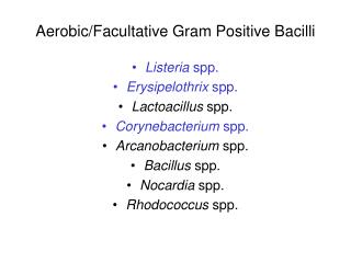 Aerobic/Facultative Gram Positive Bacilli