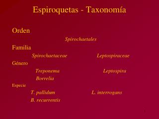 Espiroquetas - Taxonomía