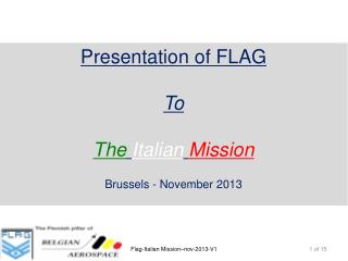 Presentation of FLAG To The Italian Mission Brussels - November 2013