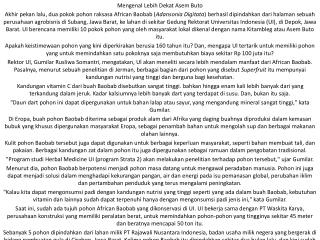 Mengenal Lebih Dekat Asem Buto