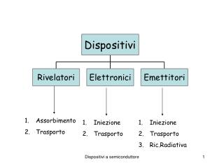 Assorbimento Trasporto