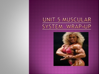 Unit 5 Muscular System Wrap-up