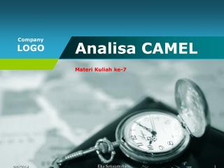 Analisa CAMEL