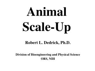 Animal Scale-Up