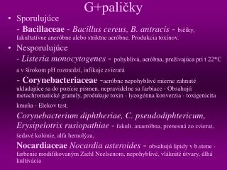 G+paličky