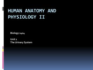 Human Anatomy and Physiology II